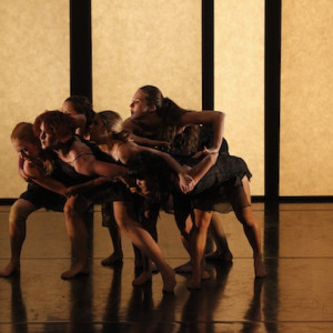 Impermanence by Frances Rings.  Photo: Jeff Busby.